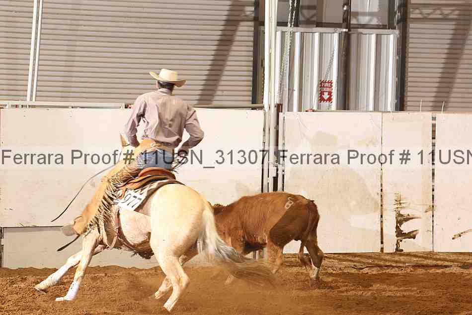 Proof 11usn_31307