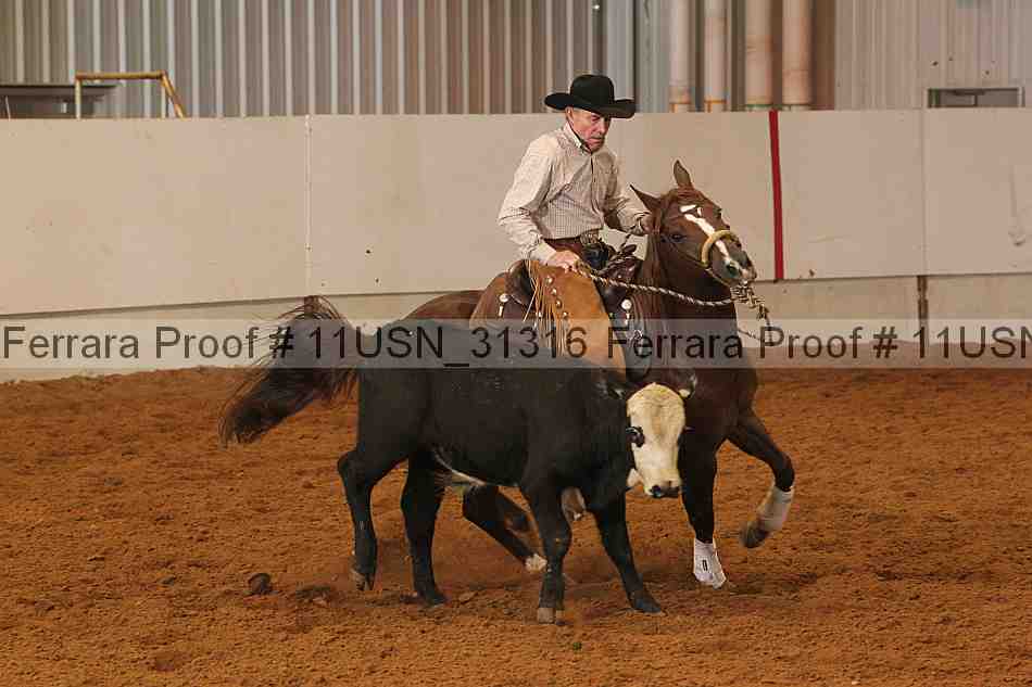 Proof 11usn_31316