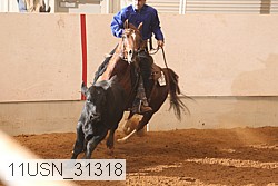 11usn_31318 proof