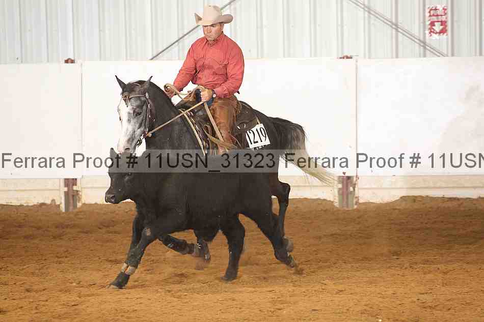 Proof 11usn_31323