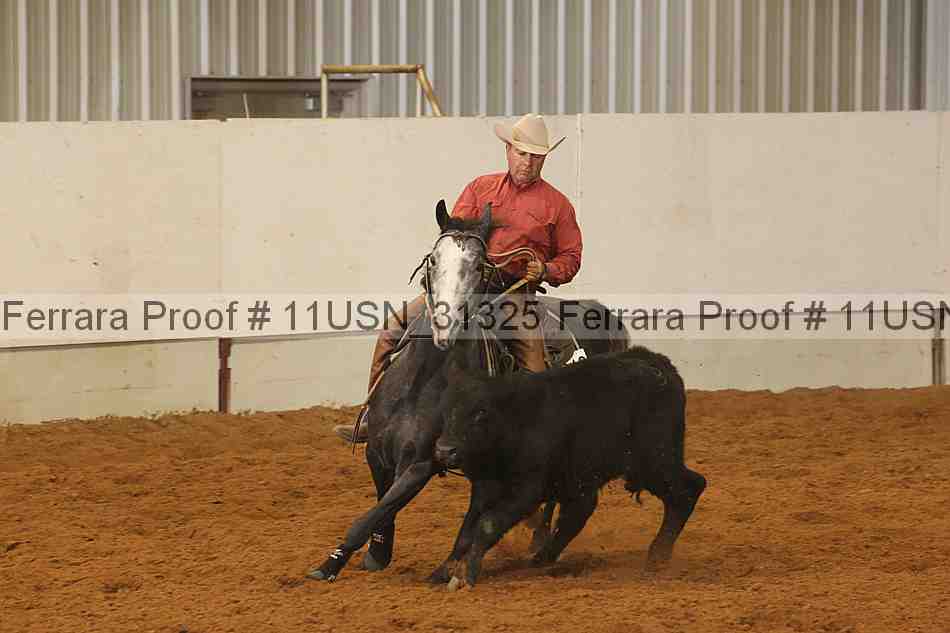 Proof 11usn_31325