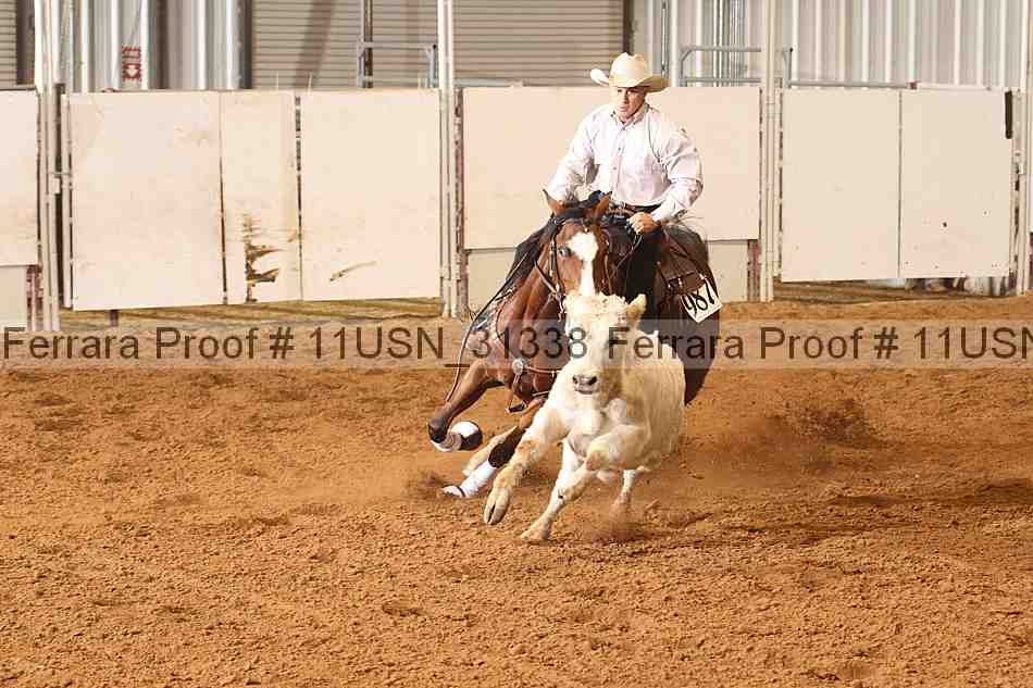 Proof 11usn_31338