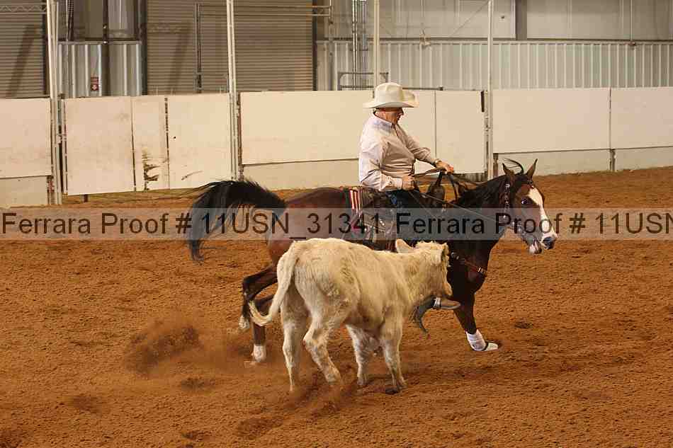 Proof 11usn_31341