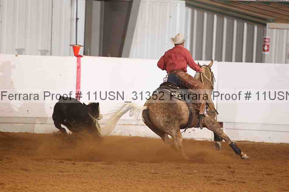 Proof 11usn_31352