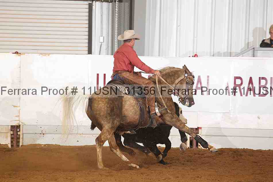 Proof 11usn_31356