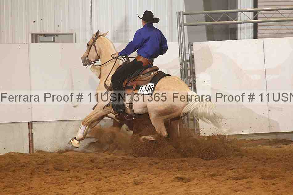 Proof 11usn_31365