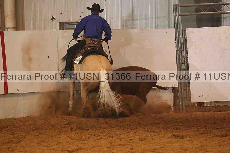 Proof 11usn_31366