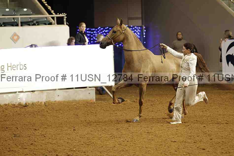 Proof 11usn_12784