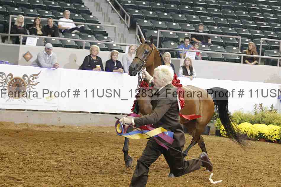 Proof 11usn_12834