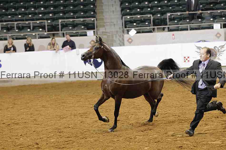 Proof 11usn_13028