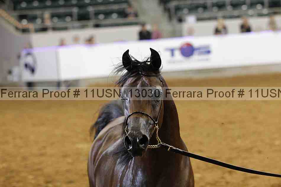 Proof 11usn_13030