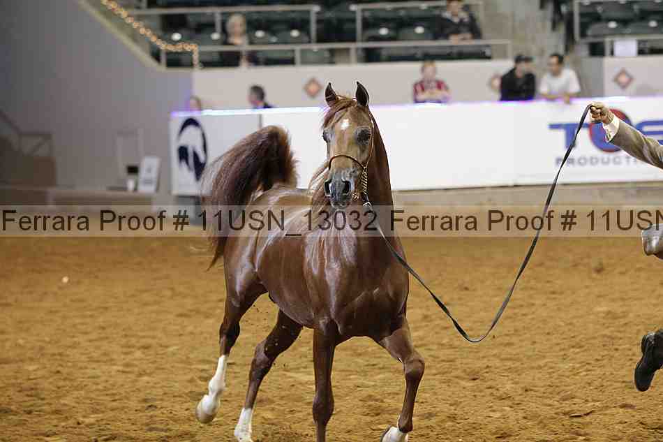 Proof 11usn_13032