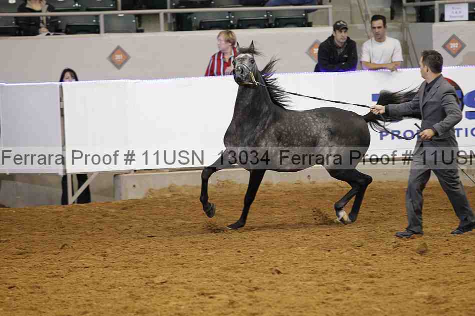 Proof 11usn_13034