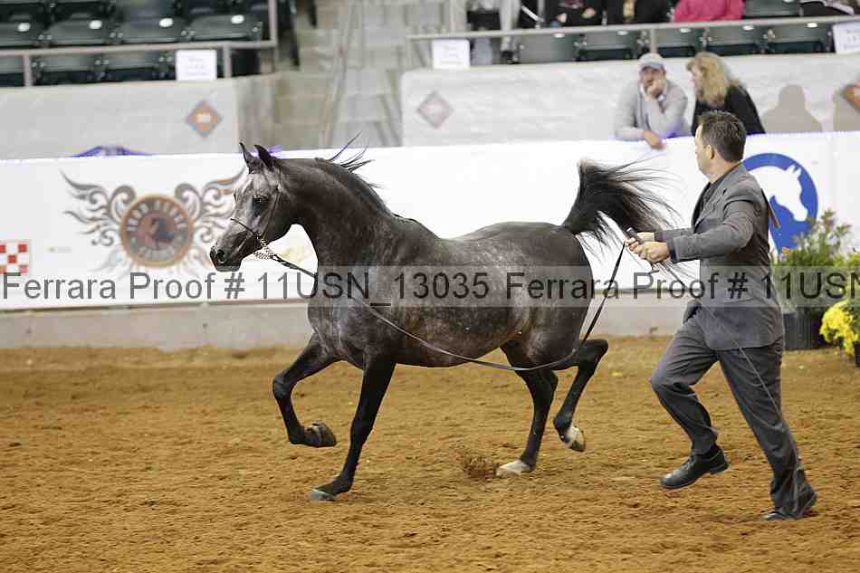 Proof 11usn_13035