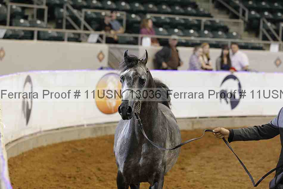 Proof 11usn_13036