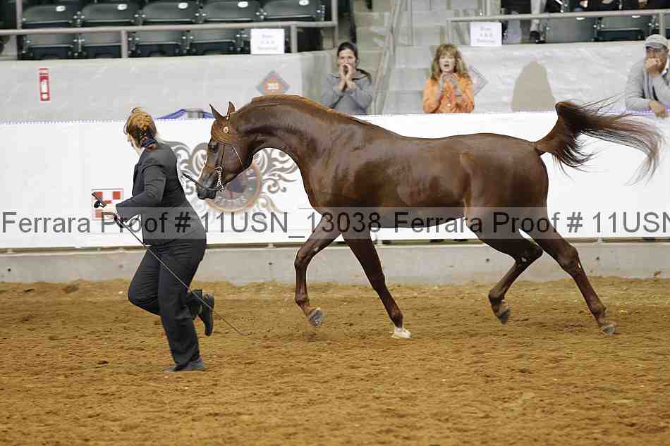 Proof 11usn_13038