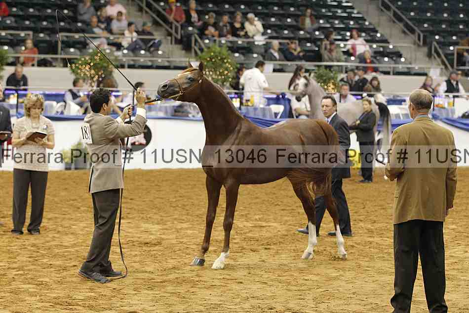 Proof 11usn_13046