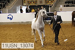 11usn_13074 proof