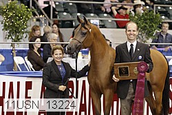 11usn_13224 proof