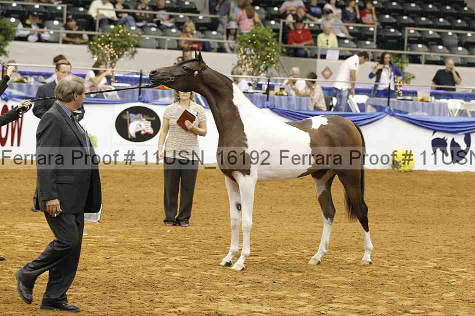 Proof 11usn_16192