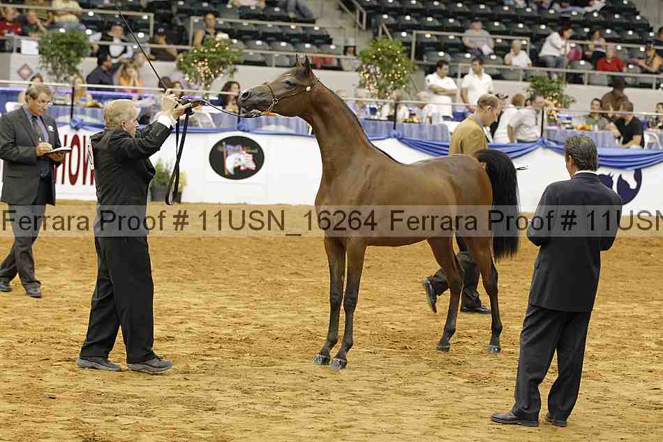 Proof 11usn_16264