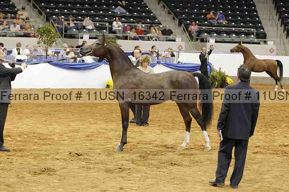 Proof 11usn_16342