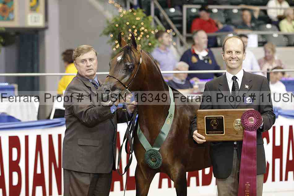 Proof 11usn_16349