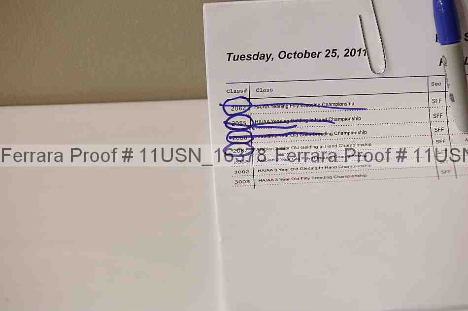 Proof 11usn_16378