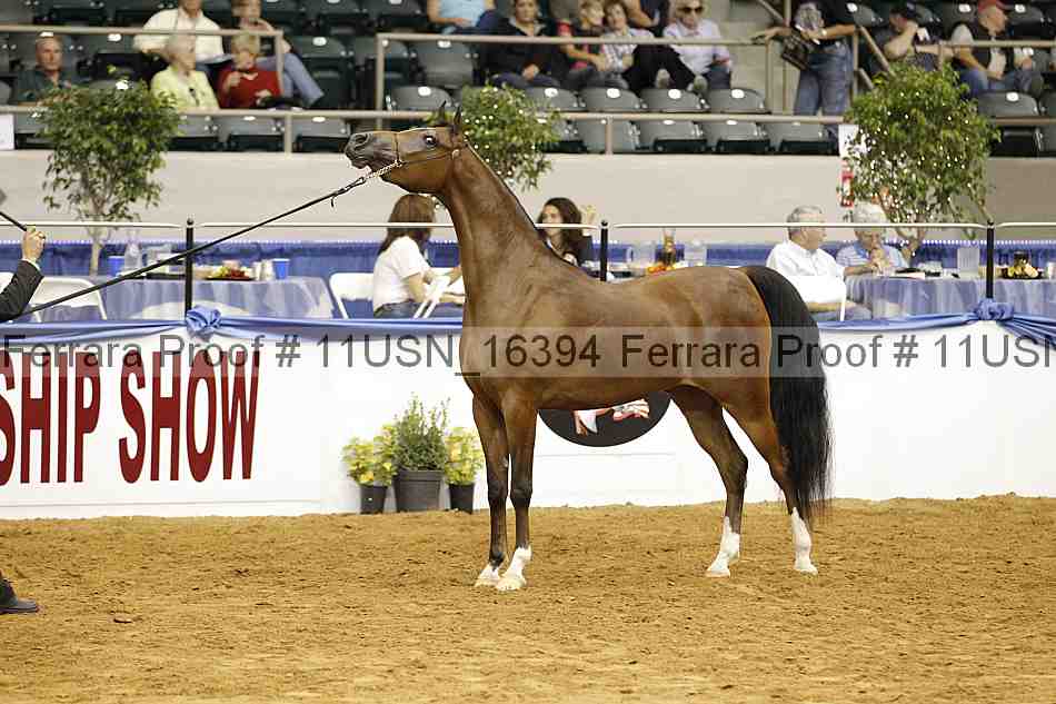 Proof 11usn_16394