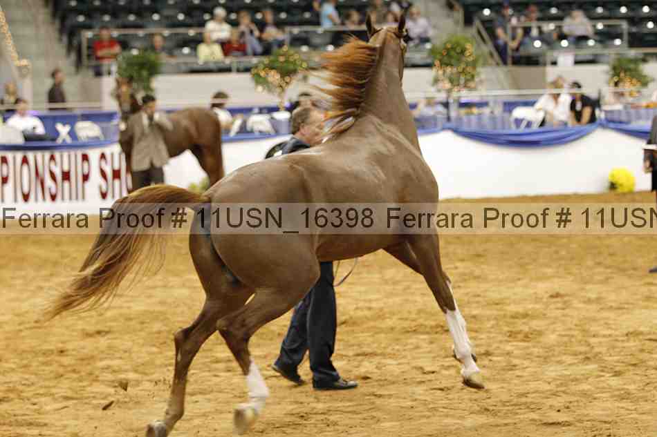 Proof 11usn_16398