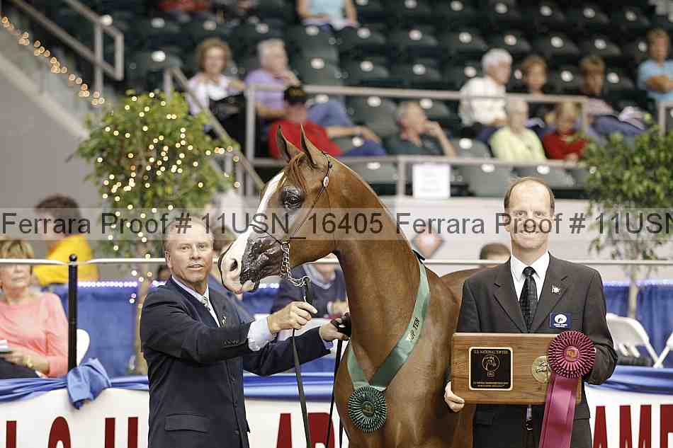 Proof 11usn_16405