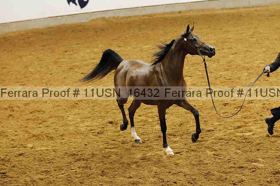 Proof 11usn_16432
