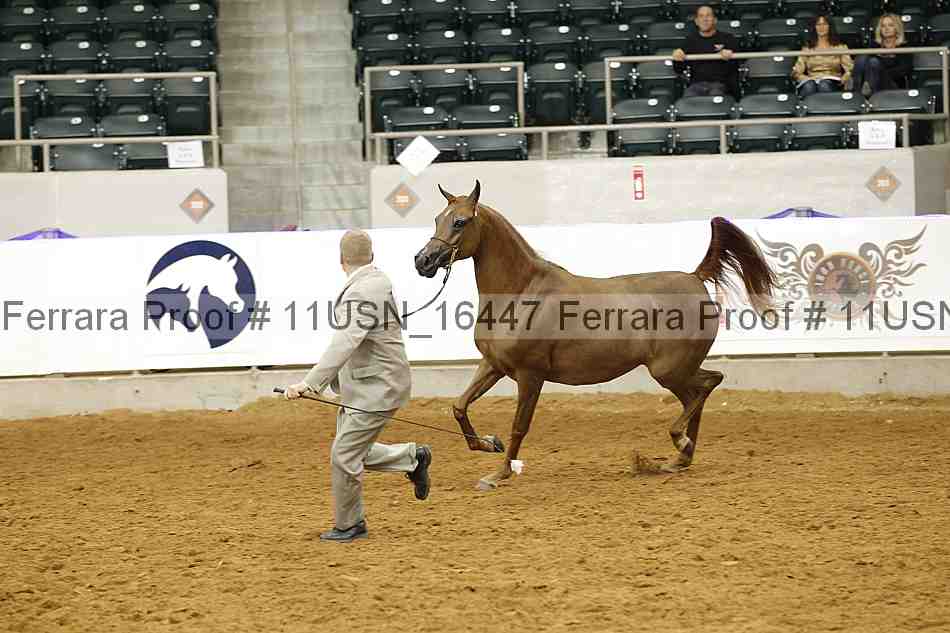 Proof 11usn_16447