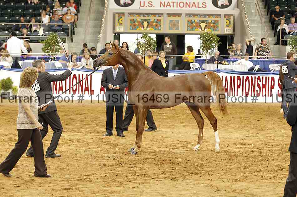Proof 11usn_16469