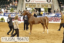 11usn_16470 proof