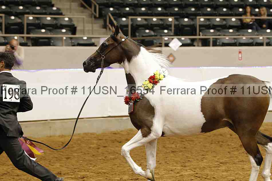 Proof 11usn_16554