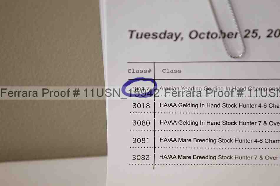 Proof 11usn_15942