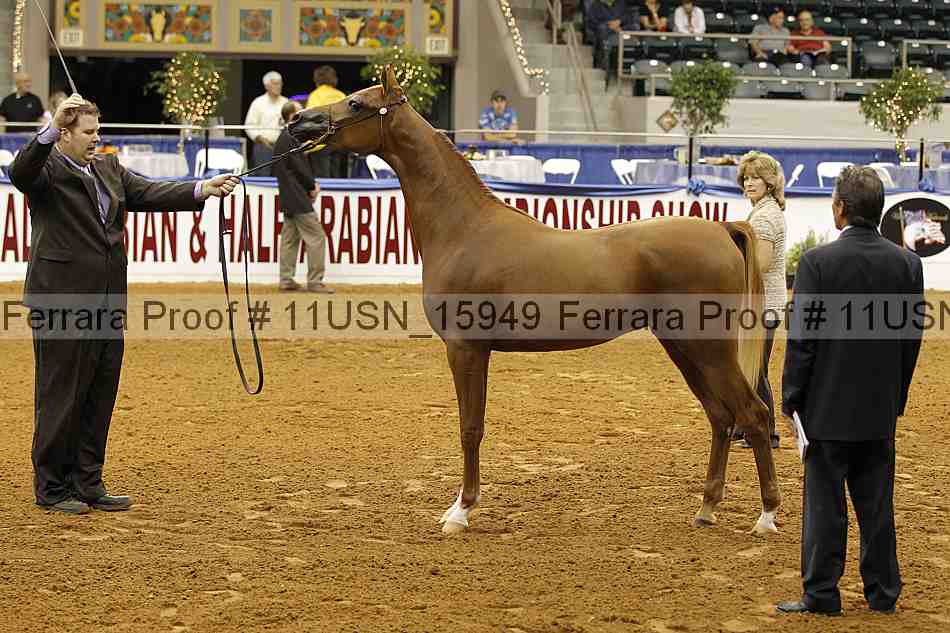 Proof 11usn_15949