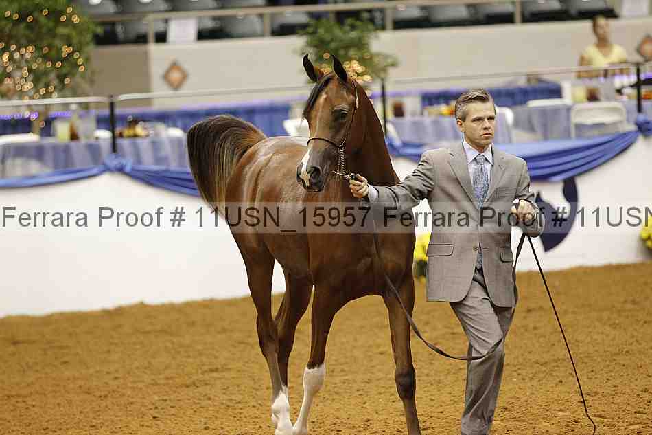 Proof 11usn_15957