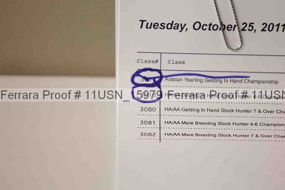 Proof 11usn_15979