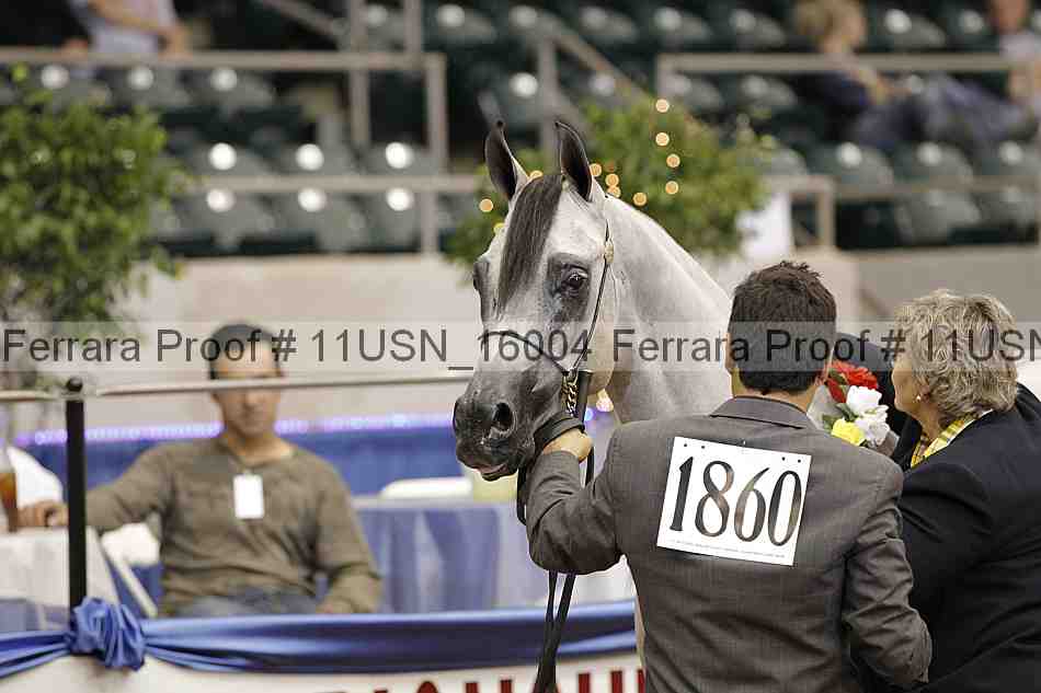 Proof 11usn_16004