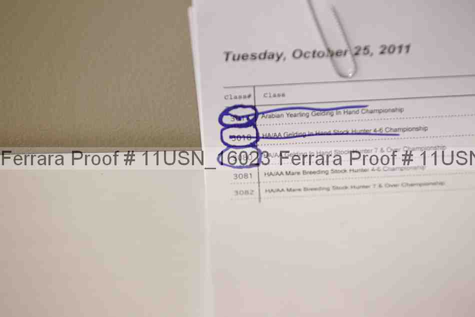 Proof 11usn_16023
