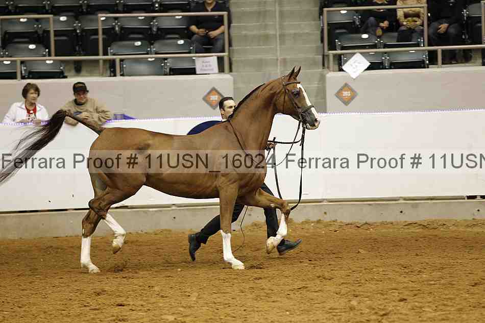 Proof 11usn_16024