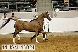 11usn_16024 proof