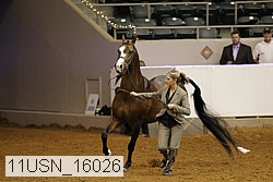 11usn_16026 proof