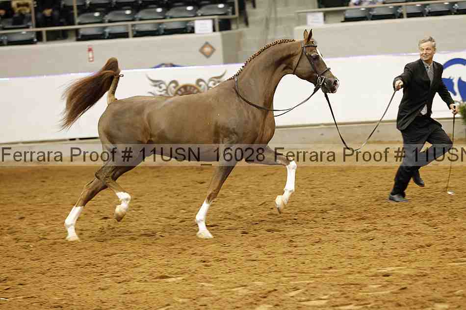 Proof 11usn_16028
