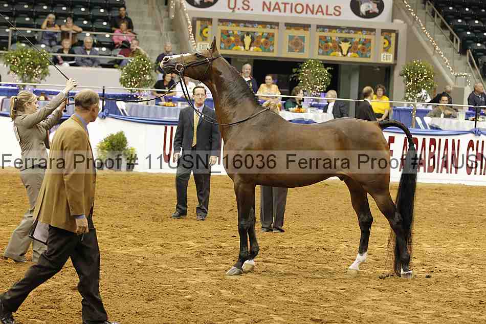 Proof 11usn_16036