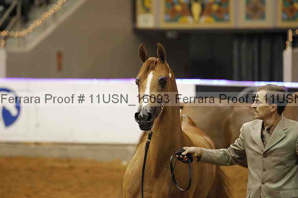 Proof 11usn_16093