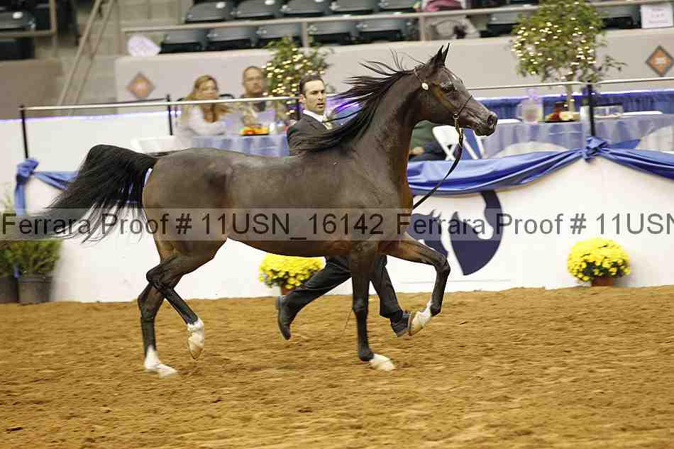 Proof 11usn_16142