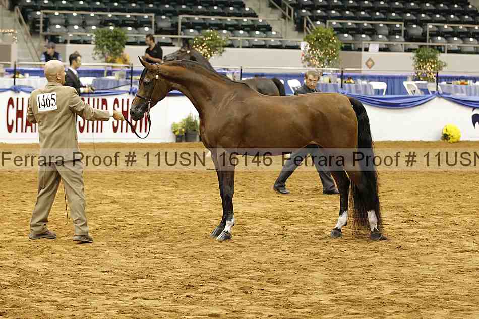 Proof 11usn_16146
